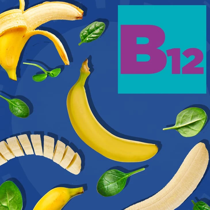 Vitamin B12 Essential Nutrient for Daily Health