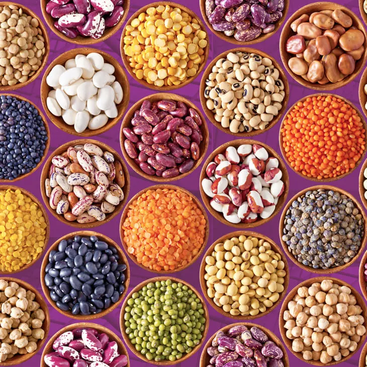 Protein Rich Beans and Lentils for Healthy Nutrition